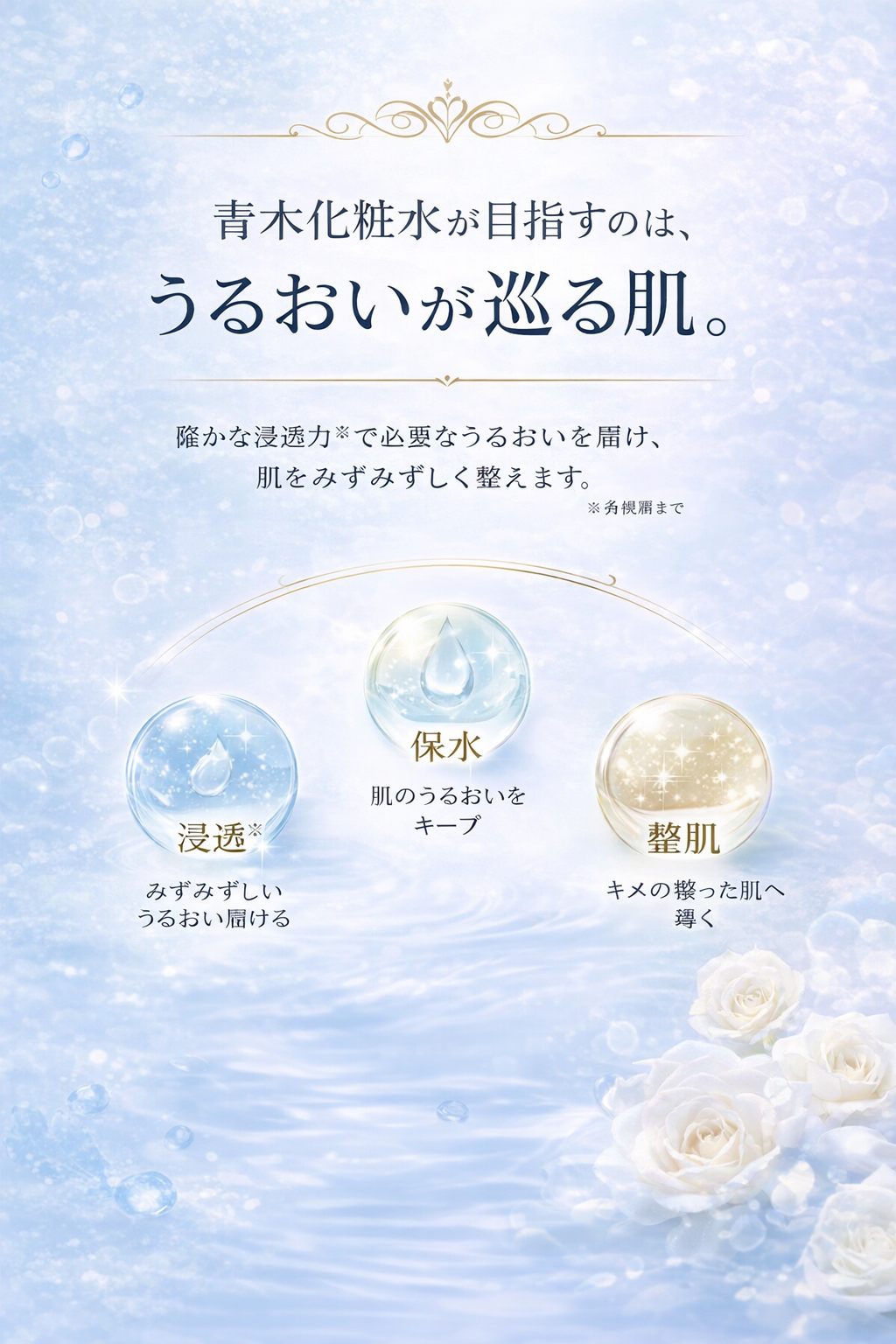 青木化粧水 セクション3
